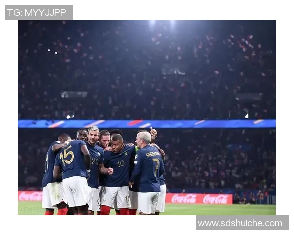 法国队与爱尔兰足球对决精彩回顾与赛后分析